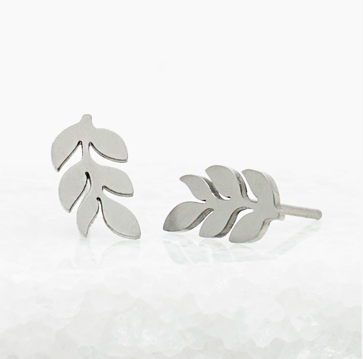 Rowen Silver earrings
